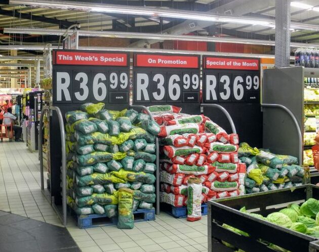 Bold pricing created by Different Designs